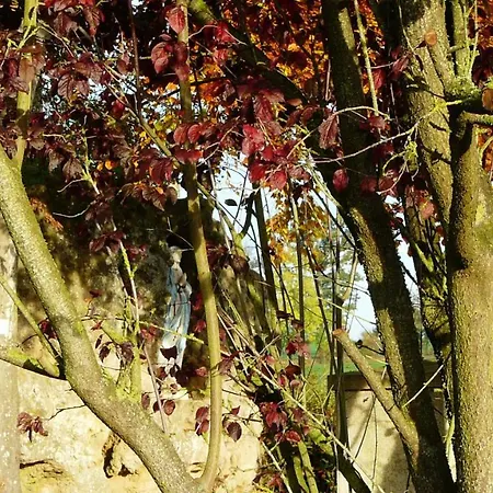 En Campagne Au Locheur + Piscine Villa *