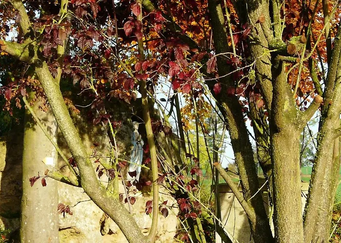 En Campagne Au Locheur + Piscine Villa *